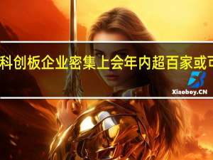 明起科创板企业密集上会 年内超百家或可提交注册