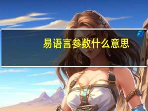 易语言参数什么意思