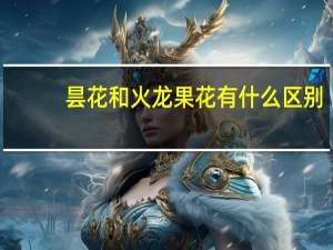 昙花和火龙果花有什么区别