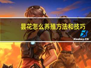 昙花怎么养殖方法和技巧