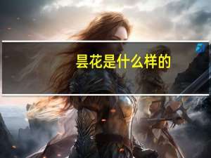 昙花是什么样的