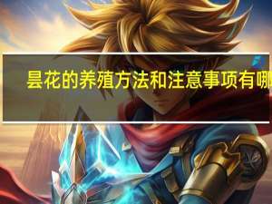 昙花的养殖方法和注意事项有哪些