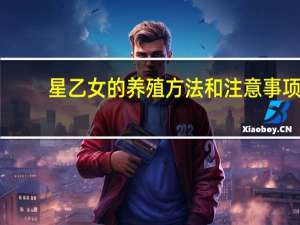 星乙女的养殖方法和注意事项