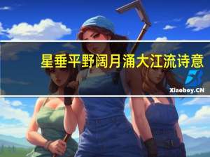 星垂平野阔月涌大江流诗意（星垂平野阔月涌大江流全诗）