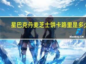 星巴克 丹麦芝士饼卡路里是多少