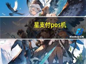 星支付pos机（星支付）