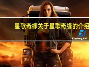 星歌奇缘 关于星歌奇缘的介绍