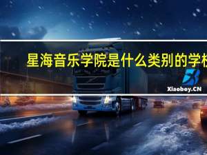 星海音乐学院是什么类别的学校