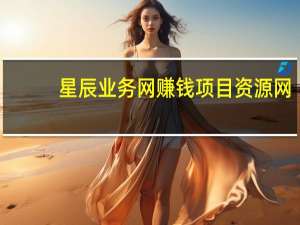 星辰业务网 赚钱项目资源网