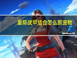 星际战甲结合怎么抓宠物