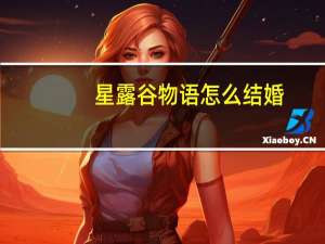 星露谷物语怎么结婚