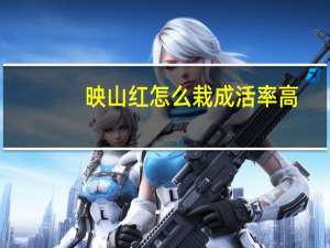 映山红怎么栽成活率高