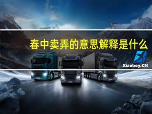 春中卖弄的意思解释是什么（春 中卖弄的意思）