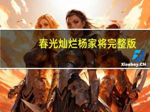 春光灿烂杨家将完整版（春光灿烂杨家将）