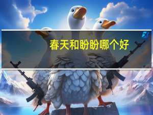 春天和盼盼哪个好