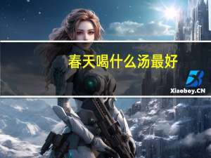春天喝什么汤最好