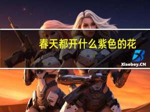 春天都开什么紫色的花