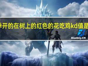 春季开的在树上的红色的花 吃鸡kd值是什么意思
