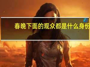 春晚下面的观众都是什么身份（春晚 下载）
