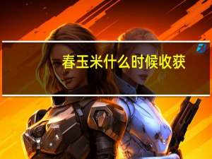 春玉米什么时候收获