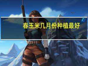 春玉米几月份种植最好