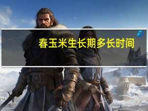 春玉米生长期多长时间