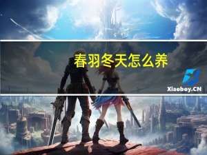 春羽冬天怎么养