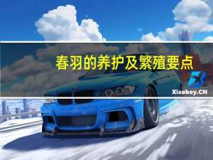 春羽的养护及繁殖要点：在腐殖质排水良好的砂质壤土中养护为佳
