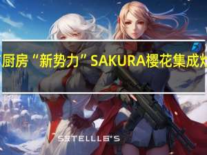 春节厨房“新势力” SAKURA樱花集成灶完美来袭