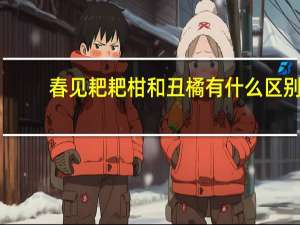 春见耙耙柑和丑橘有什么区别