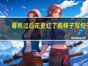 春雨过后花更红了照样子写句子