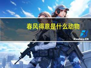春风得意是什么动物