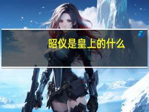 昭仪是皇上的什么