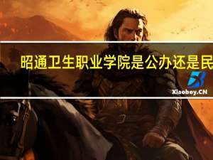 昭通卫生职业学院是公办还是民办