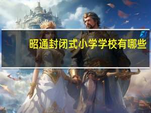 昭通封闭式小学学校有哪些