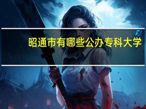 昭通市有哪些公办专科大学