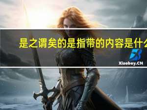 是之谓矣的是指带的内容是什么