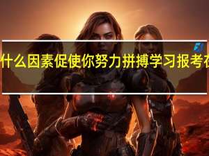 是什么因素促使你努力拼搏学习报考在职硕士