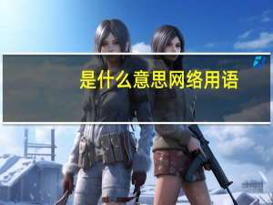 是什么意思网络用语（是什么意思）