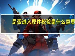 是否进入原件校验是什么意思