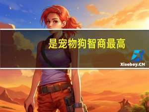 是宠物狗智商最高