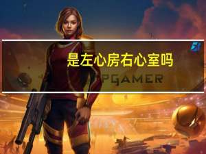 是左心房右心室吗（左心房右心室什么意思）