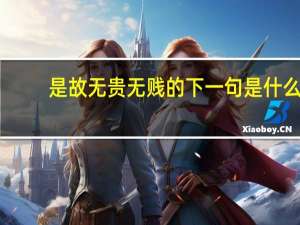 是故无贵无贱的下一句是什么