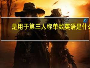 是用于第三人称单数英语是什么
