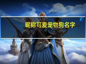 昵称可爱宠物狗名字