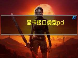 显卡接口类型pci-e4.0是什么（显卡接口类型）