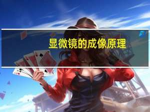 显微镜的成像原理