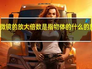 显微镜的放大倍数是指物体的什么的放大倍数