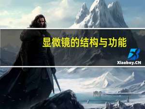 显微镜的结构与功能