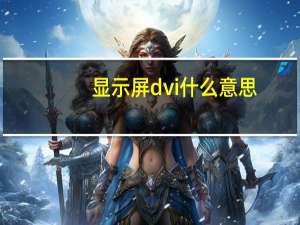 显示屏dvi什么意思